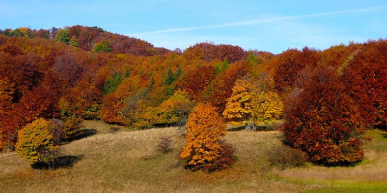 Őszi terepgyakorlat